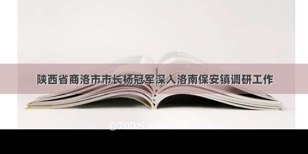 陕西省商洛市市长杨冠军深入洛南保安镇调研工作