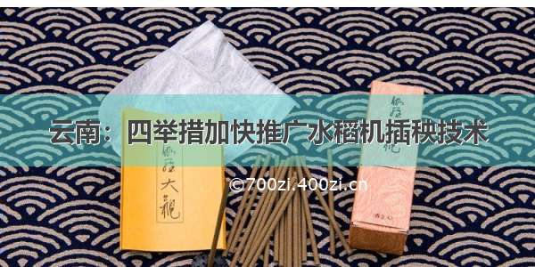 云南：四举措加快推广水稻机插秧技术