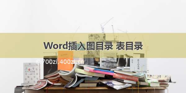 Word插入图目录 表目录