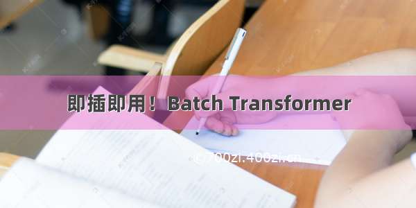 即插即用！Batch Transformer