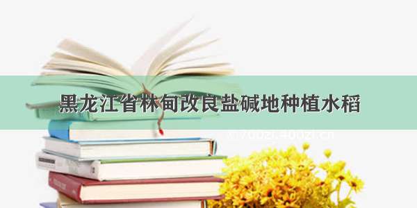 黑龙江省林甸改良盐碱地种植水稻