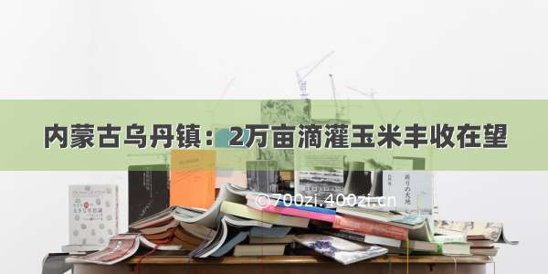 内蒙古乌丹镇：2万亩滴灌玉米丰收在望