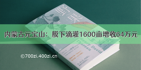 内蒙古元宝山：膜下滴灌1600亩增收64万元