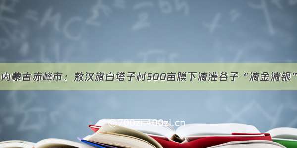 内蒙古赤峰市：敖汉旗白塔子村500亩膜下滴灌谷子“滴金淌银”