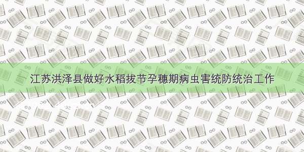 江苏洪泽县做好水稻拔节孕穗期病虫害统防统治工作