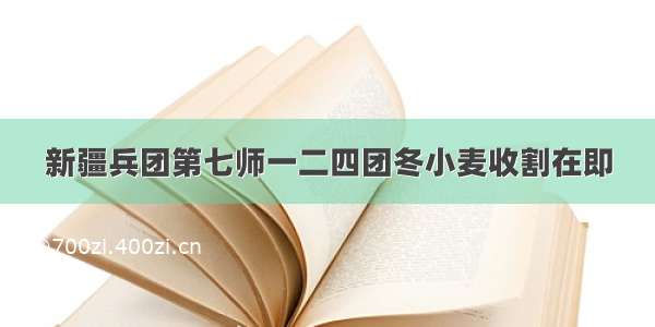 新疆兵团第七师一二四团冬小麦收割在即