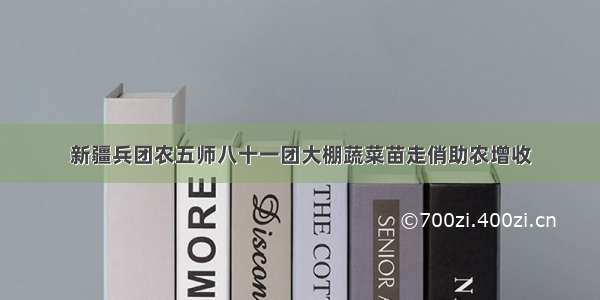 新疆兵团农五师八十一团大棚蔬菜苗走俏助农增收