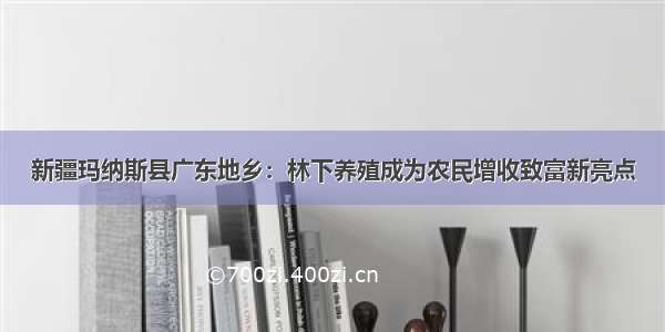 新疆玛纳斯县广东地乡：林下养殖成为农民增收致富新亮点