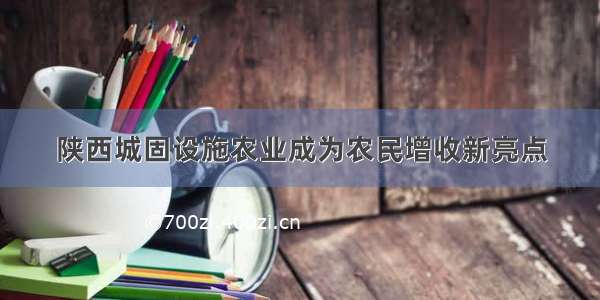 陕西城固设施农业成为农民增收新亮点