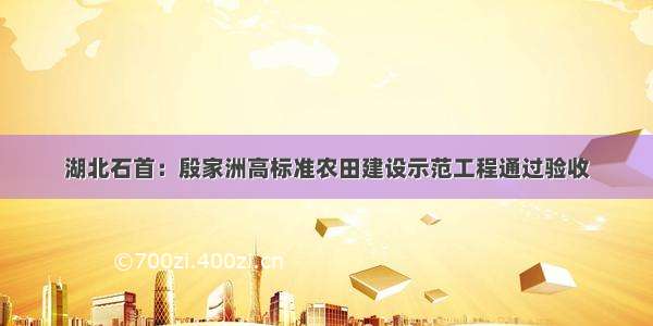 湖北石首：殷家洲高标准农田建设示范工程通过验收