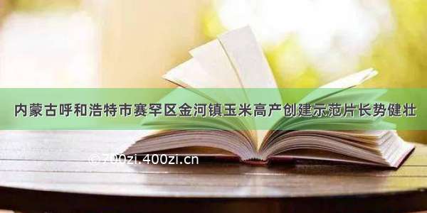 内蒙古呼和浩特市赛罕区金河镇玉米高产创建示范片长势健壮