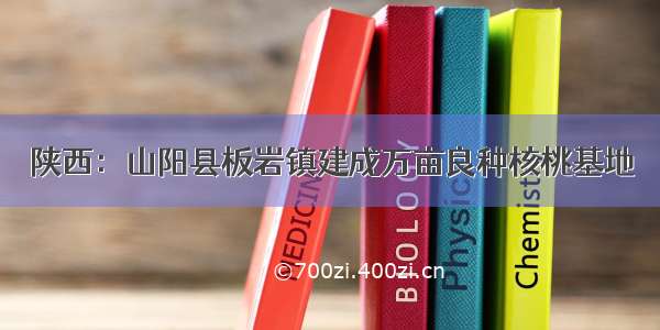 陕西：山阳县板岩镇建成万亩良种核桃基地