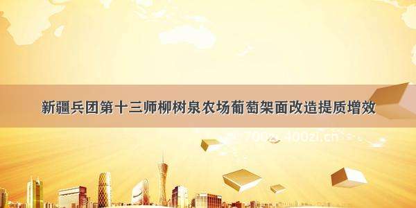 新疆兵团第十三师柳树泉农场葡萄架面改造提质增效