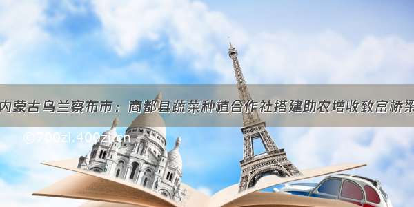 内蒙古乌兰察布市：商都县蔬菜种植合作社搭建助农增收致富桥梁