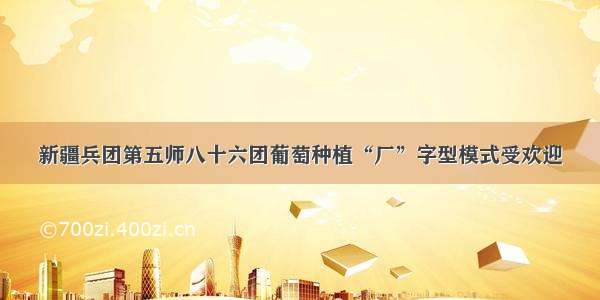 新疆兵团第五师八十六团葡萄种植“厂”字型模式受欢迎