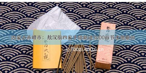 内蒙古赤峰市：敖汉旗四家子镇新建3000亩节水增粮田