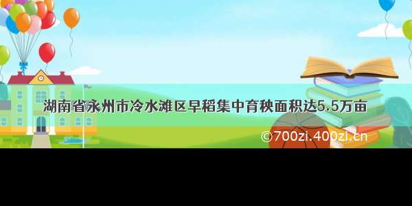 湖南省永州市冷水滩区早稻集中育秧面积达5.5万亩