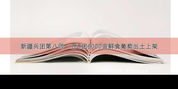 新疆兵团第八师一五O团6000亩鲜食葡萄出土上架