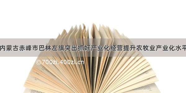 内蒙古赤峰市巴林左旗突出抓好产业化经营提升农牧业产业化水平