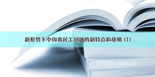 新形势下中国农民工问题的新特点和战略 (1)