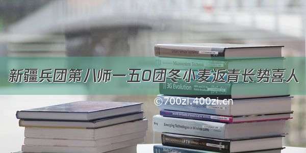 新疆兵团第八师一五O团冬小麦返青长势喜人