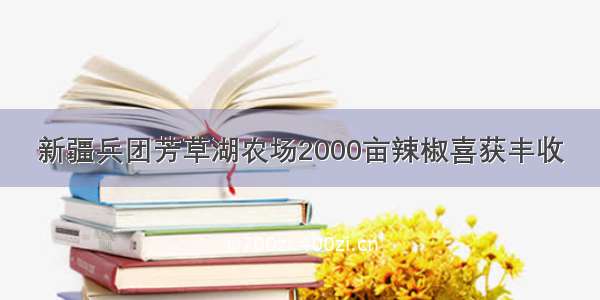 新疆兵团芳草湖农场2000亩辣椒喜获丰收