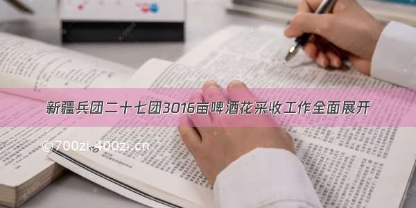 新疆兵团二十七团3016亩啤酒花采收工作全面展开