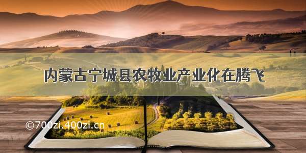 内蒙古宁城县农牧业产业化在腾飞