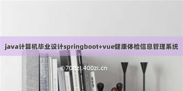 java计算机毕业设计springboot+vue健康体检信息管理系统