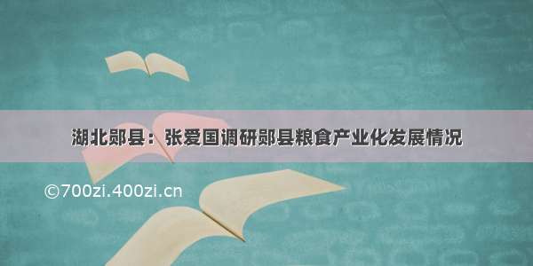 湖北郧县：张爱国调研郧县粮食产业化发展情况