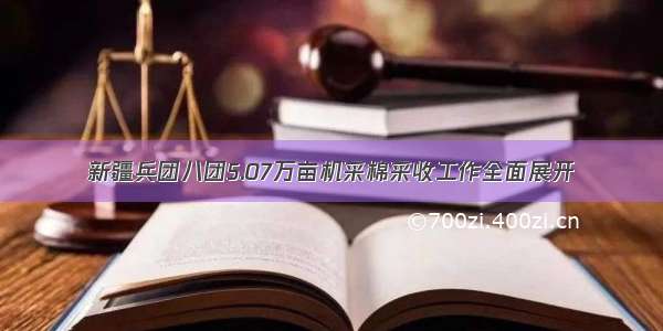 新疆兵团八团5.07万亩机采棉采收工作全面展开