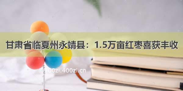 甘肃省临夏州永靖县：1.5万亩红枣喜获丰收