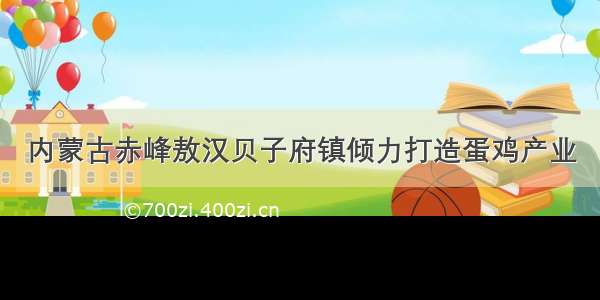 内蒙古赤峰敖汉贝子府镇倾力打造蛋鸡产业