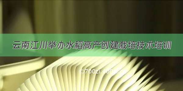 云南江川举办水稻高产创建栽培技术培训