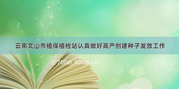 云南文山市植保植检站认真做好高产创建种子发放工作