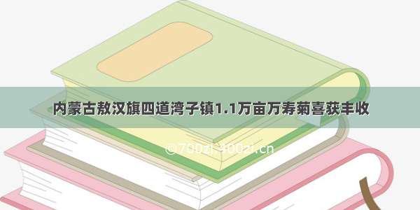 内蒙古敖汉旗四道湾子镇1.1万亩万寿菊喜获丰收