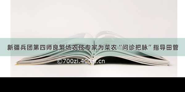 新疆兵团第四师良繁场农技专家为菜农“问诊把脉”指导田管