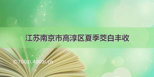 江苏南京市高淳区夏季茭白丰收