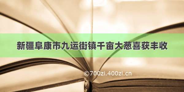 新疆阜康市九运街镇千亩大葱喜获丰收