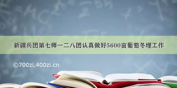 新疆兵团第七师一二八团认真做好5600亩葡萄冬埋工作