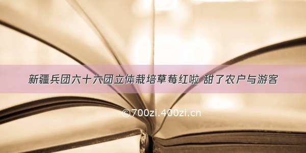 新疆兵团六十六团立体栽培草莓红啦 甜了农户与游客