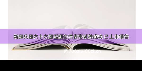 新疆兵团六十六团温棚台湾青枣试种成功 已上市销售