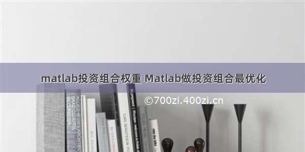 matlab投资组合权重 Matlab做投资组合最优化