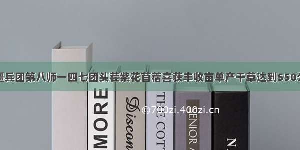 新疆兵团第八师一四七团头茬紫花苜蓿喜获丰收亩单产干草达到550公斤