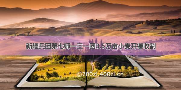 新疆兵团第七师一三一团3.5万亩小麦开镰收割