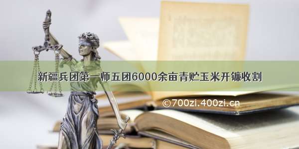 新疆兵团第一师五团6000余亩青贮玉米开镰收割