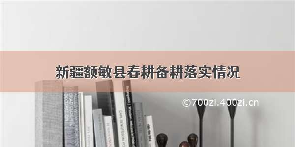 新疆额敏县春耕备耕落实情况