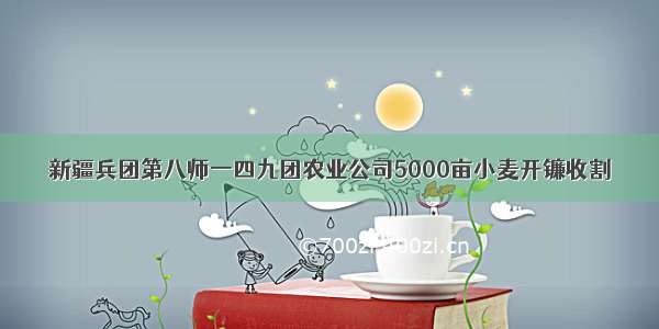 新疆兵团第八师一四九团农业公司5000亩小麦开镰收割