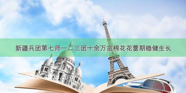 新疆兵团第七师一二三团十余万亩棉花花蕾期稳健生长