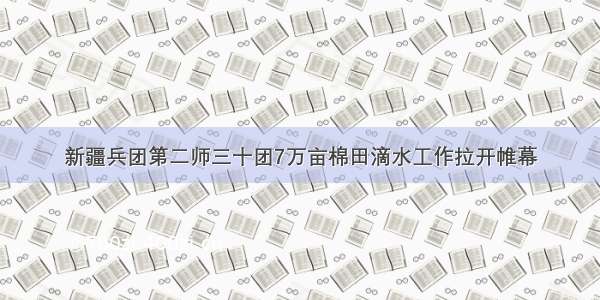 新疆兵团第二师三十团7万亩棉田滴水工作拉开帷幕